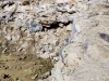 BETTONI Cantiere Centrale fiume Tanaro S.Vittoria d'Alba